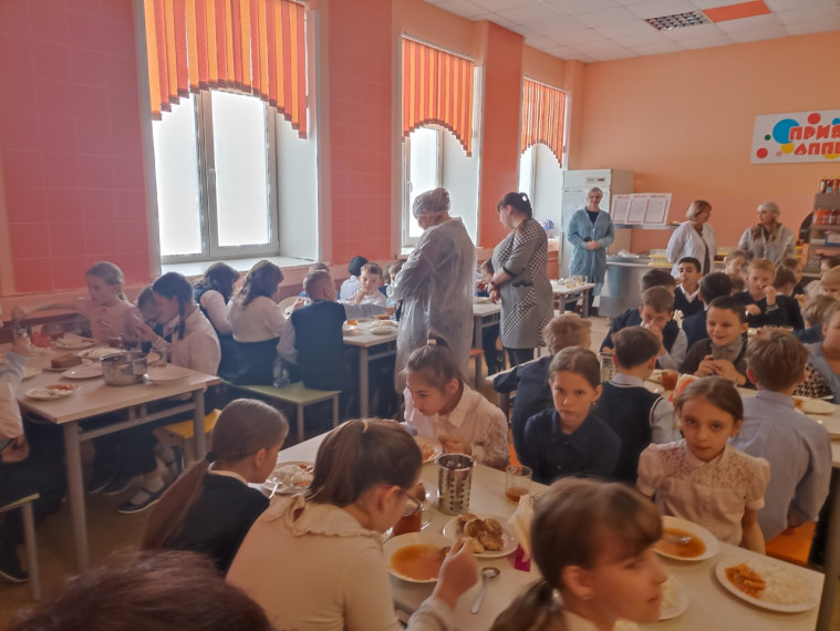 Родительский контроль за организацией и качеством питания учащихся.